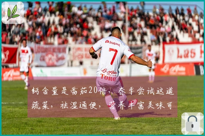 钙含量是番茄20倍，春季尝试这道蔬菜，祛湿通便，营养丰富美味可口