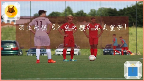 羽生结弦《八重之樱》完美重现！