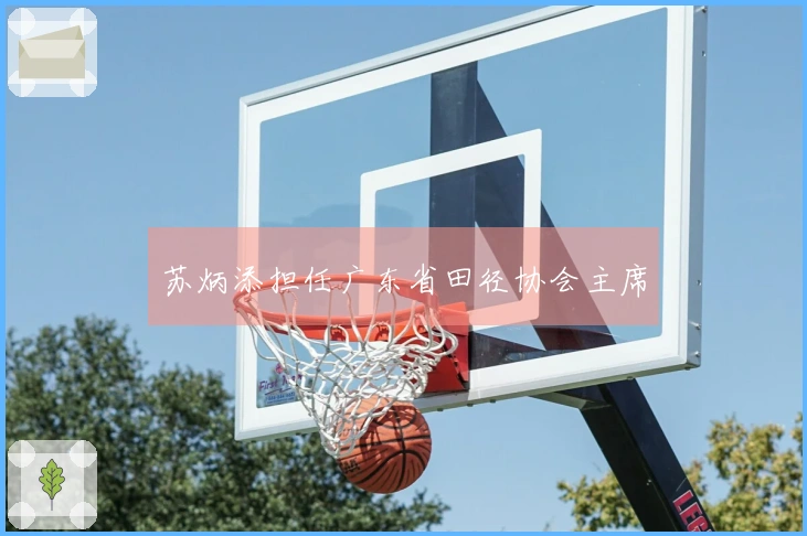 苏炳添担任广东省田径协会主席